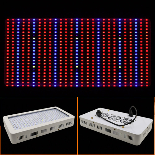 Led Grow Light voor het planten van plantaardig binnenlicht