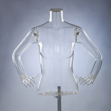 plastic mannequin transparent mannequin upper body model female torso for sale