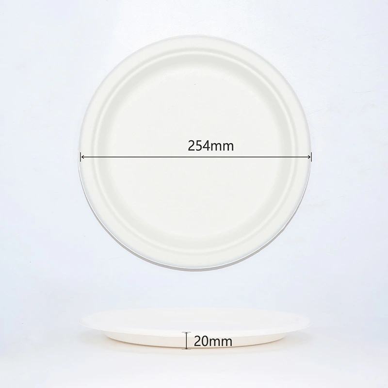 100% Biodegradable Eco-Friendly Sugarcane Bagasse Disposable 10'' Round Plate