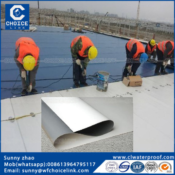 TPO Roofing membrane/TPO roof waterproof material