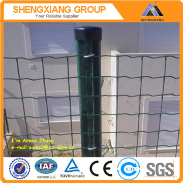 holland wire mesh/ green holland wire mesh/ pvc coated holland wire mesh(ISO9001&factory)