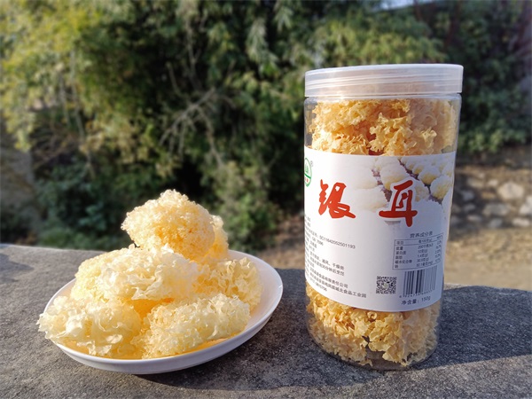 Canned White fungus
