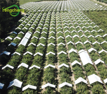 Cherry fruit tree cover Reinforced weave plastic film