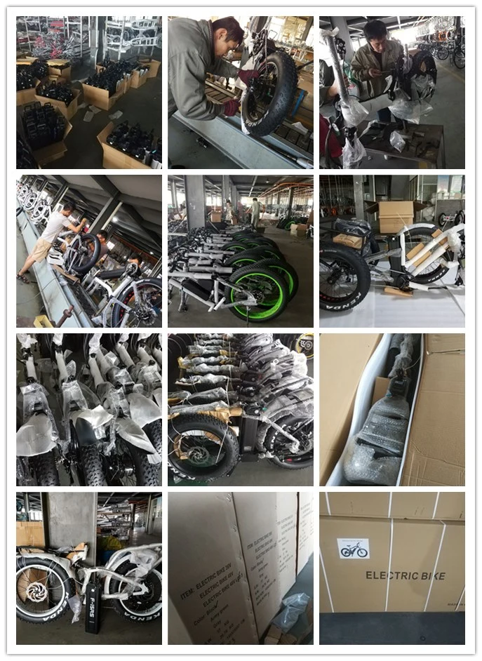 500W 3 Wheel Adult 20" Electric Cargo Tricycle