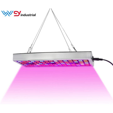 LED Plant Lights for Indoor Plants Clones Seedlings