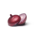 Wholesale onion exporters onion buyers