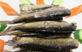 Conserve di pesce sarde in olio vegetale