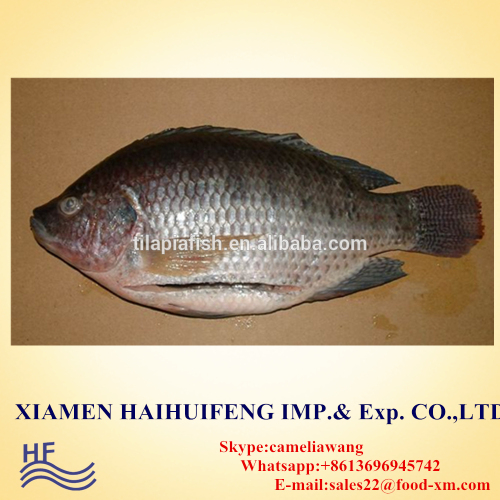 black tilapia tilapia gutted and scaled cleaning tilapia