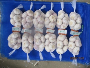 2020 Purchase White Garlic