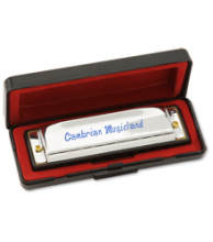 Harmonica in Plastic Case