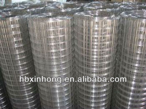 Galvenized welded wire mesh panel