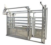 Heavy duty galvanized cattle crush with weighing