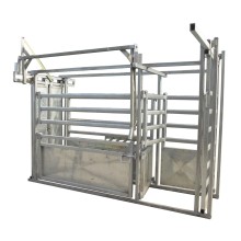 Heavy duty galvanized cattle crush with weighing