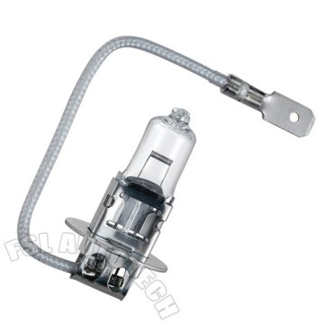 Auto fog light lamp