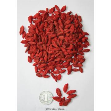 Ningxia New Harvest Food Grade Dried goji berry