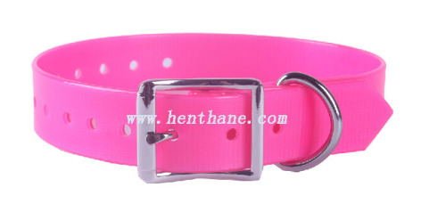 dog collar