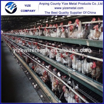 china manufacturer chicken coop for laying hens/triangle chicken coops