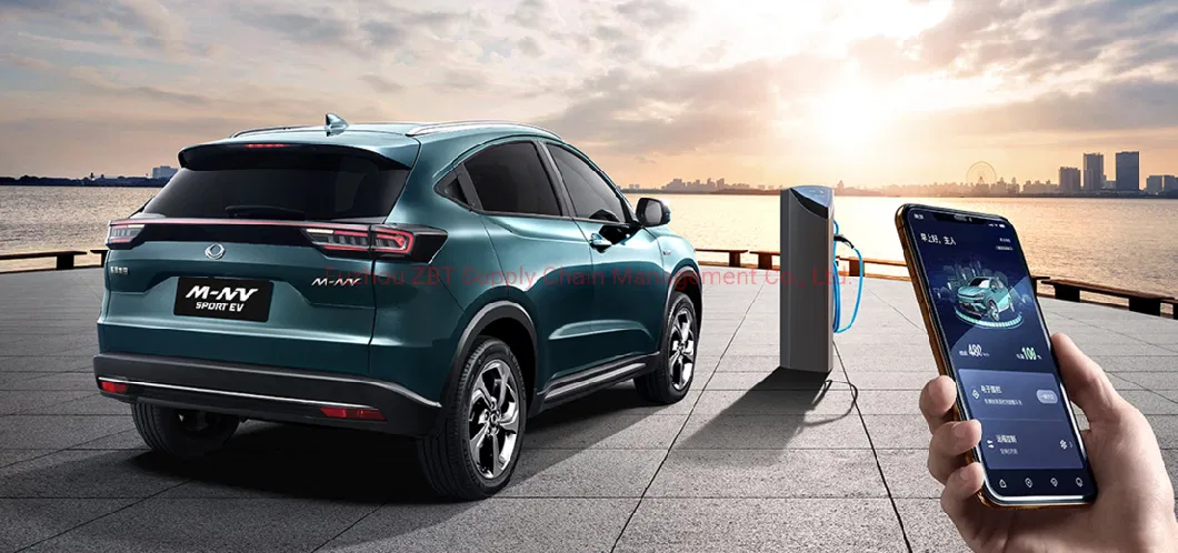 Green EV Max Speed 140km/H Private Compact Electric Used Car 4X2 2WD Mnv SUV New Energy Vehicle with Cruise Control System