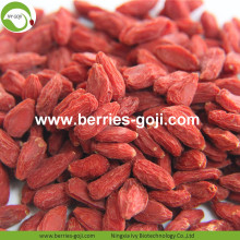 Factory Wholesale Dried Fruit Improve Eyesight Wolfberry