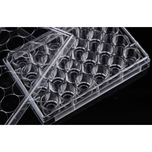 Placas de cultura de células com fundo de vidro de 24 poços
