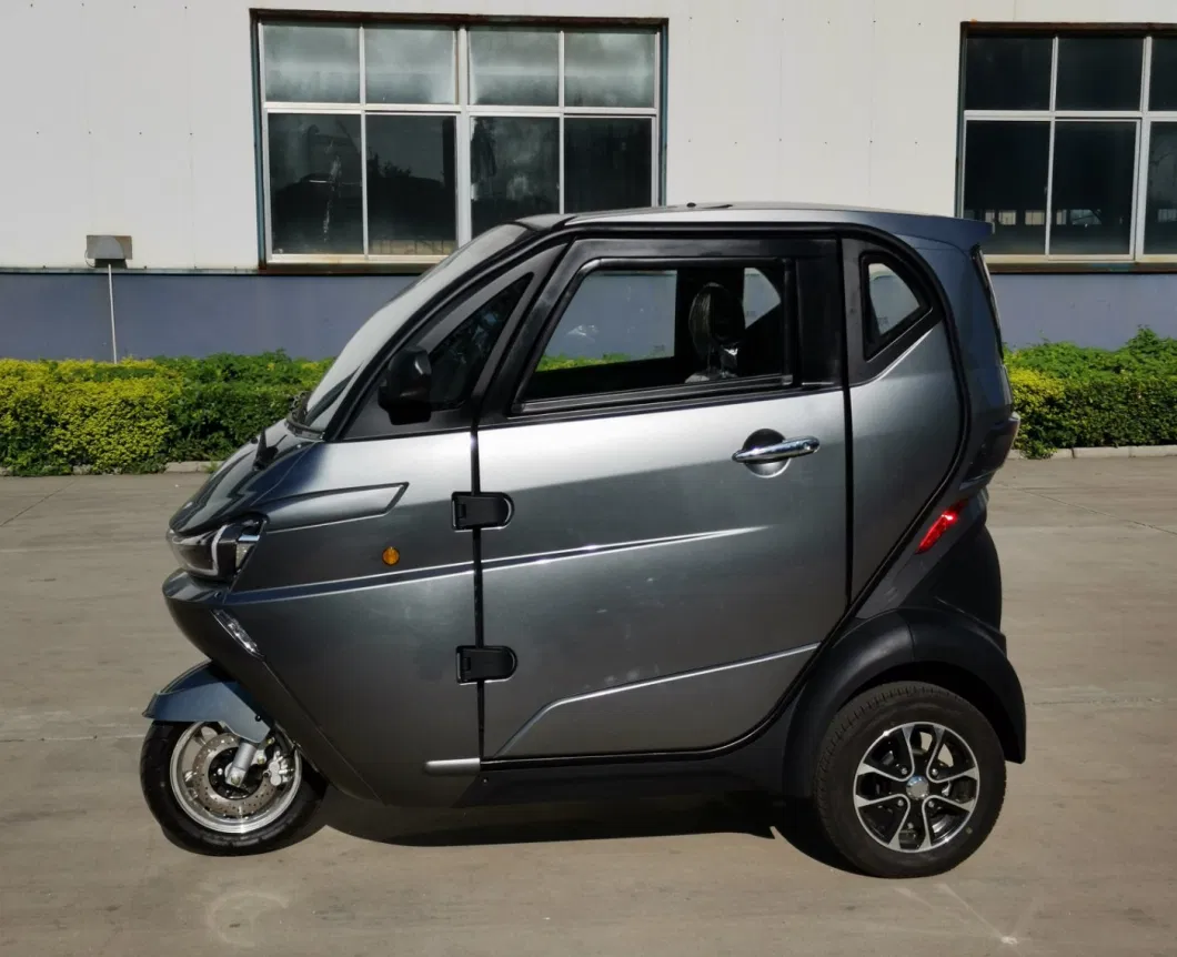 Runhorse 2200W Three Wheel Electric Tricycle 2020 for Adults Passenger