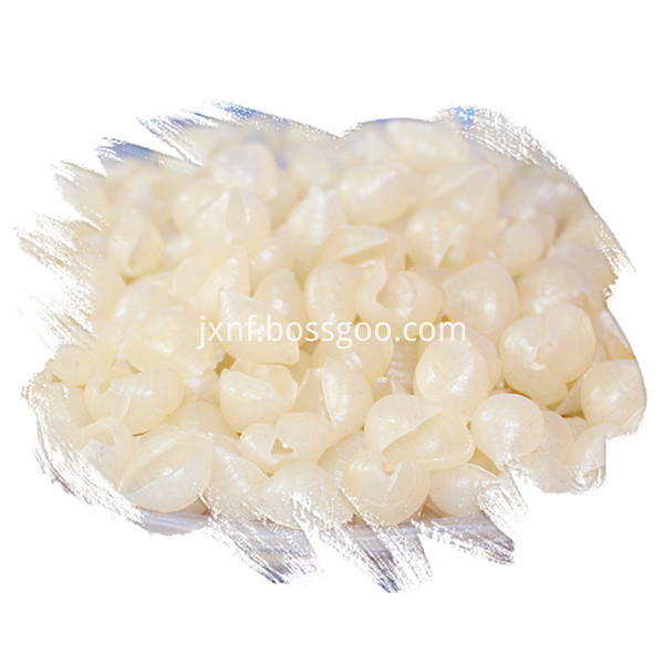 RICE SHELL PASTA no packaging 600-3