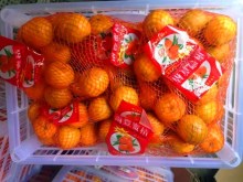 fresh delicious sweet baby mandarine orange