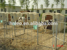 calf cage for 0-3 month calf