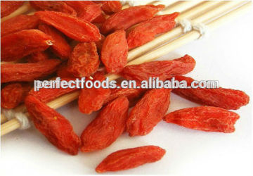 china goji berries