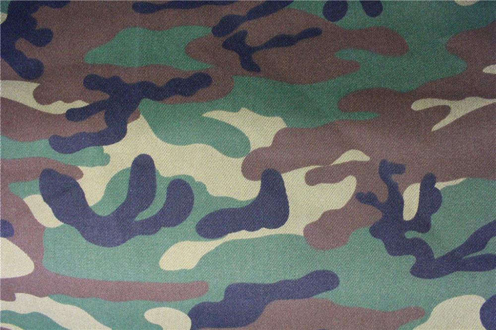 Camo Print Fabric