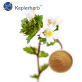 Eyebright Extract factory supply