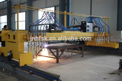 Gantry Type Cnc Flame Cutting Machine with Stripping Torches