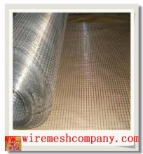 small hole chicken wire mesh/stainless steel wire mesh panel/inch square hole welded wire mesh