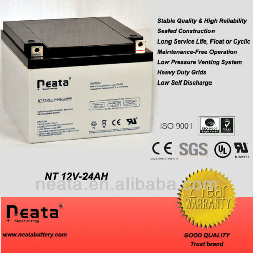 Lead Acid Battery 12volt battery ,control equipment battery12V24AH