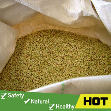 Buy buckwheat seed with good price