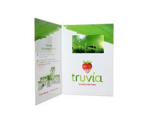 TFT LCD video cards, USB video booklet/LCD video brochure f