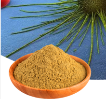 Barrenwort Wild Epimedium for Sexual Capsules