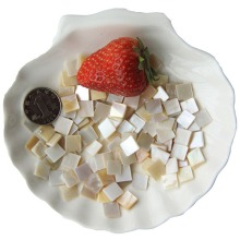 DIY Shell Mosaic Materials for Creative Handicrafts and Jewelry