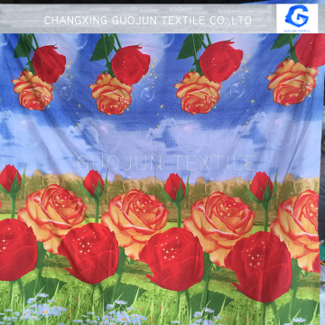 Location and Digital painting Technics 3d fabric china supplier