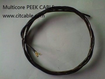 Multicore PEEK CABLE