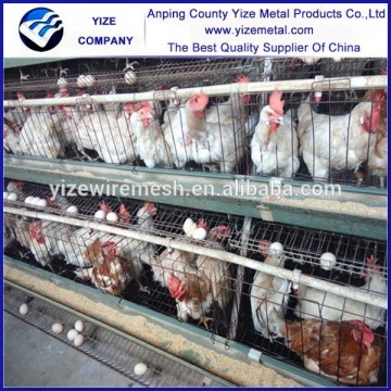 design layer chicken brolier cage/ H frame brolier chicken cage (made in China)