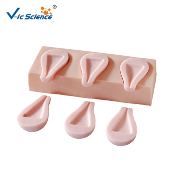 Advanced Artificial Abortion Simulated Uterus