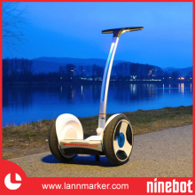 Electric Motor Segway