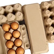 Green Paper Egg Tray for Safe Egg Storage