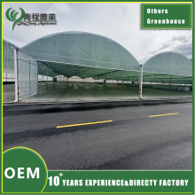 Efficient Large Capacity Greenhouse Warehouse