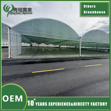 Efficient Large Capacity Greenhouse Warehouse