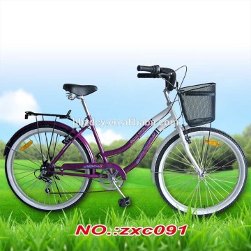 Mountain bicycle/ cheap steel frame MTB/ disc brake mountain bike/ 21 speed suspension bicycle for wholesale