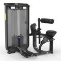 Commercial Gym Exercise Equipment Back Extension