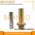 LPG CNG Brass Armature Thread Stem and Plunger