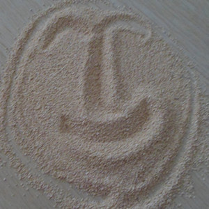 animal feed additives--lysine hcl